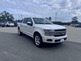 2019 Ford F150 Platinum photo
