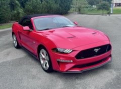 2019 Ford Mustang GT Premium photo