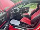 2019 Ford Mustang GT Premium photo