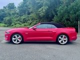 2019 Ford Mustang GT Premium photo
