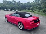 2019 Ford Mustang GT Premium photo
