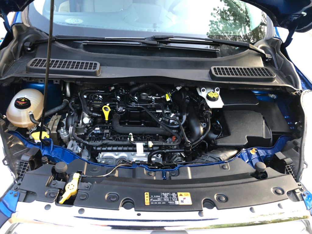 2019 Ford Escape SE photo