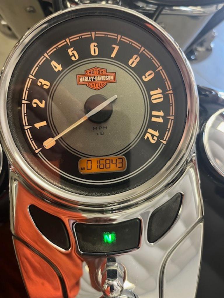 2017 Harley-Davidson FLSTC  photo