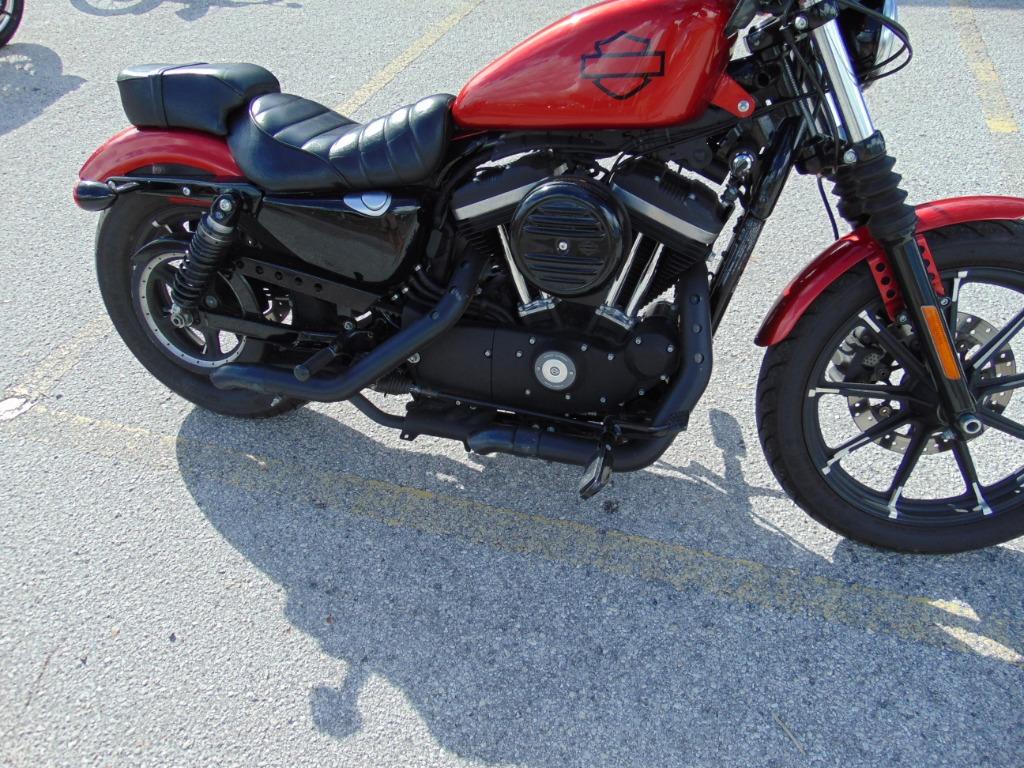 2019 Harley-Davidson Iron 883 XL883N photo
