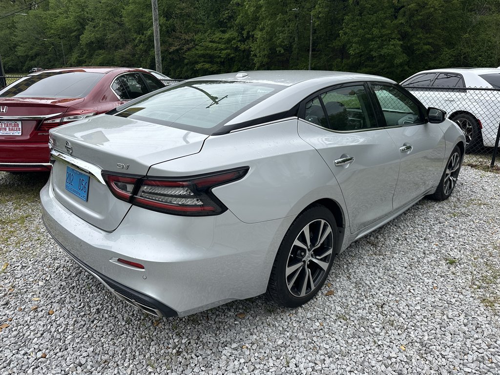 2020 Nissan Maxima SV photo