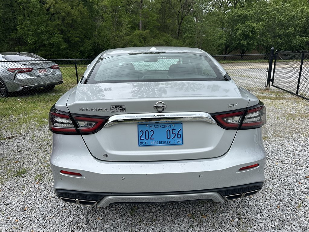 2020 Nissan Maxima SV photo