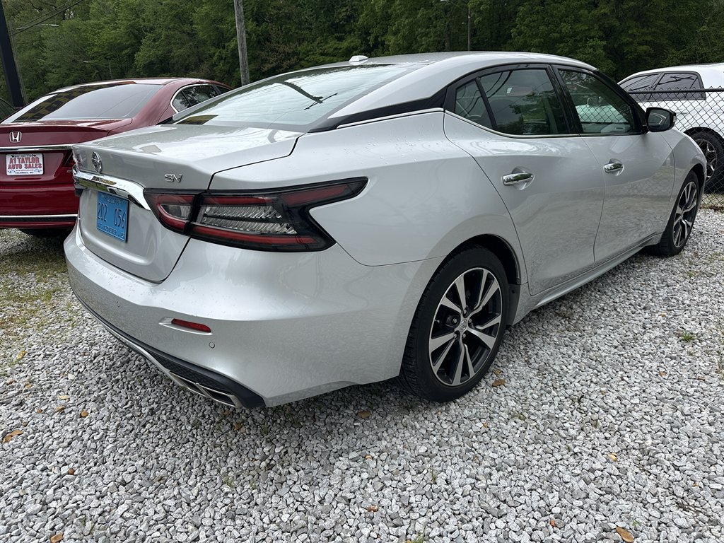 2020 Nissan Maxima SV photo