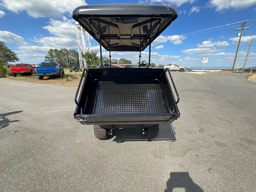 2023 KANDI KS2P - $7,999
