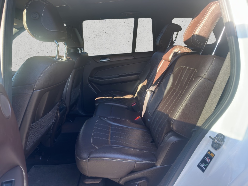 2019 Mercedes-Benz GLS GLS450 photo