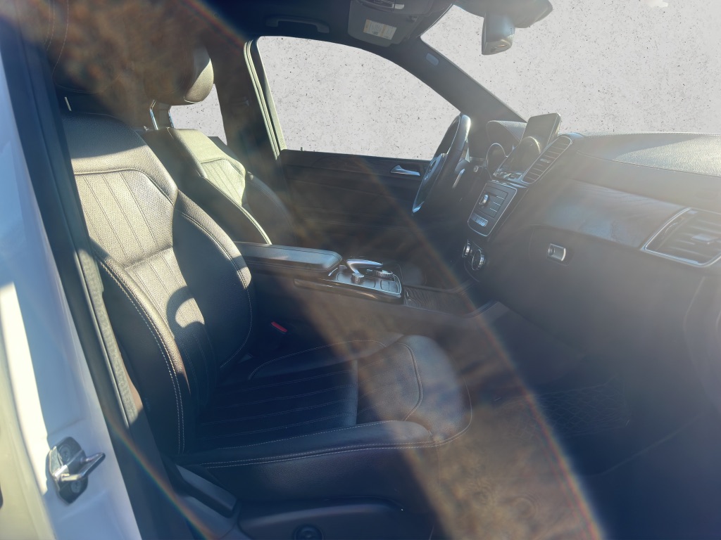 2019 Mercedes-Benz GLS GLS450 photo