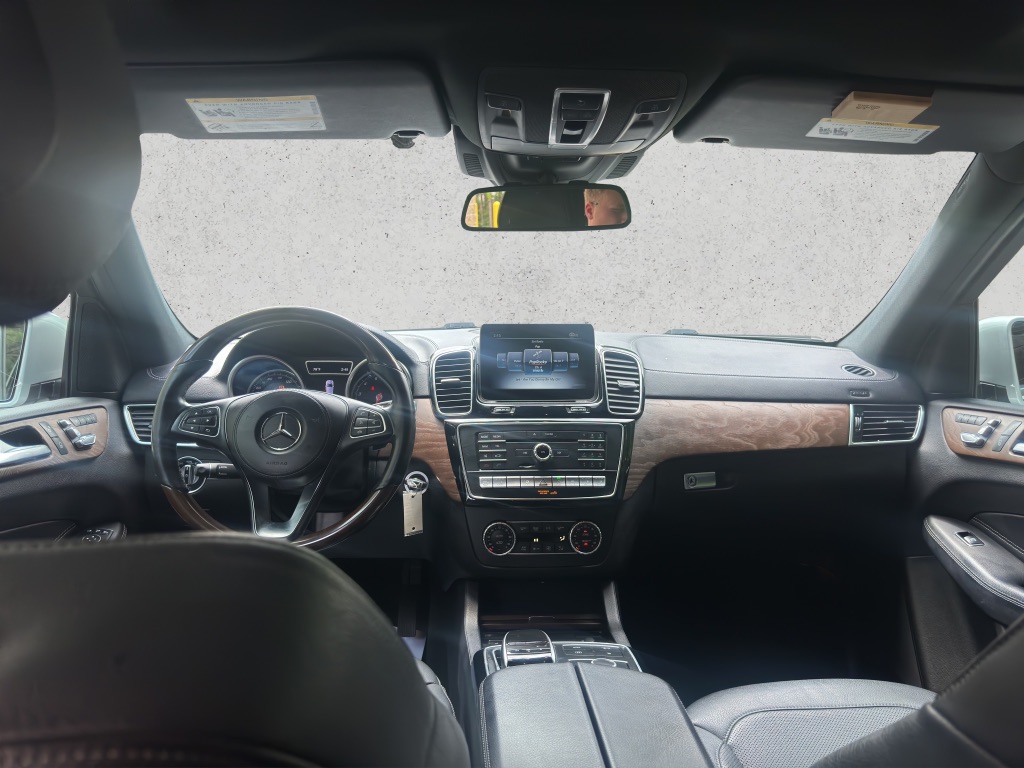 2017 Mercedes-Benz GLS GLS450 photo