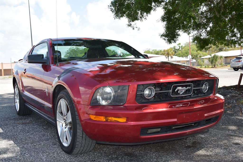 The 2006 Ford Mustang V6 Standard photos