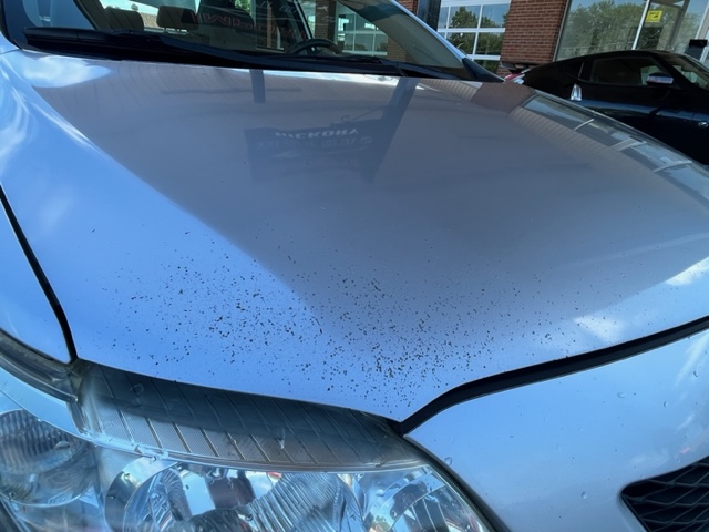 2009 Toyota Corolla LE photo