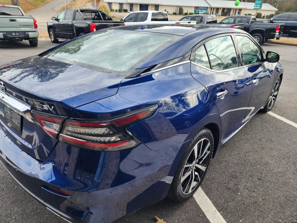 2022 Nissan Maxima SV photo