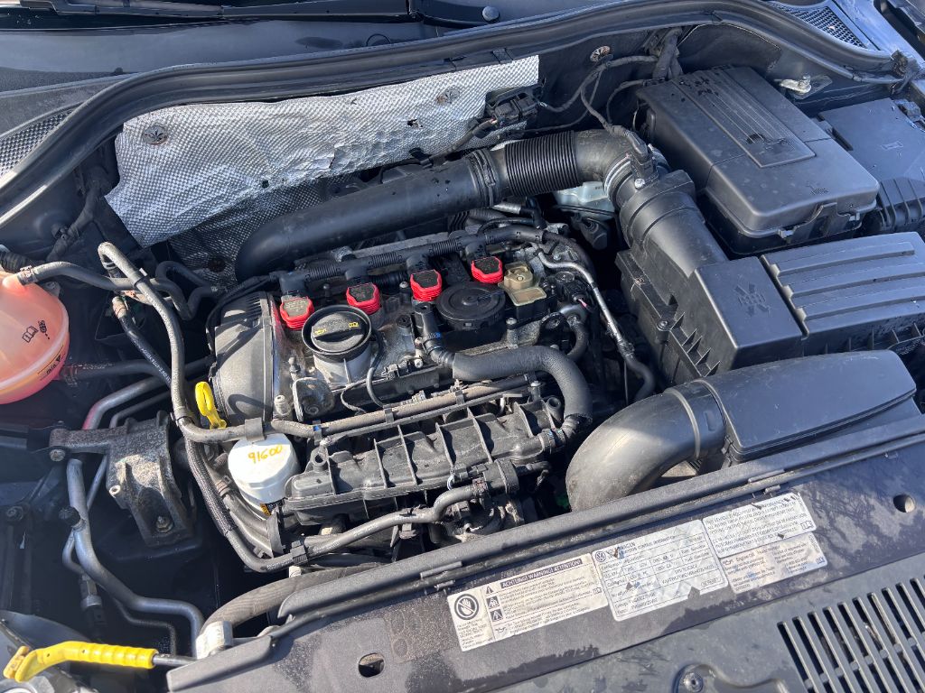 2015 Volkswagen Tiguan SEL photo