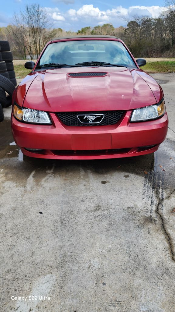 2000 Ford Mustang GT photo