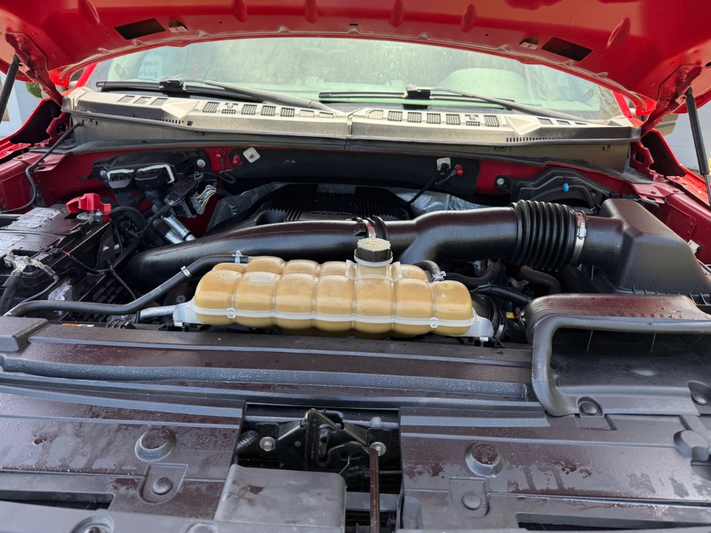 2019 Ford F150 XL photo