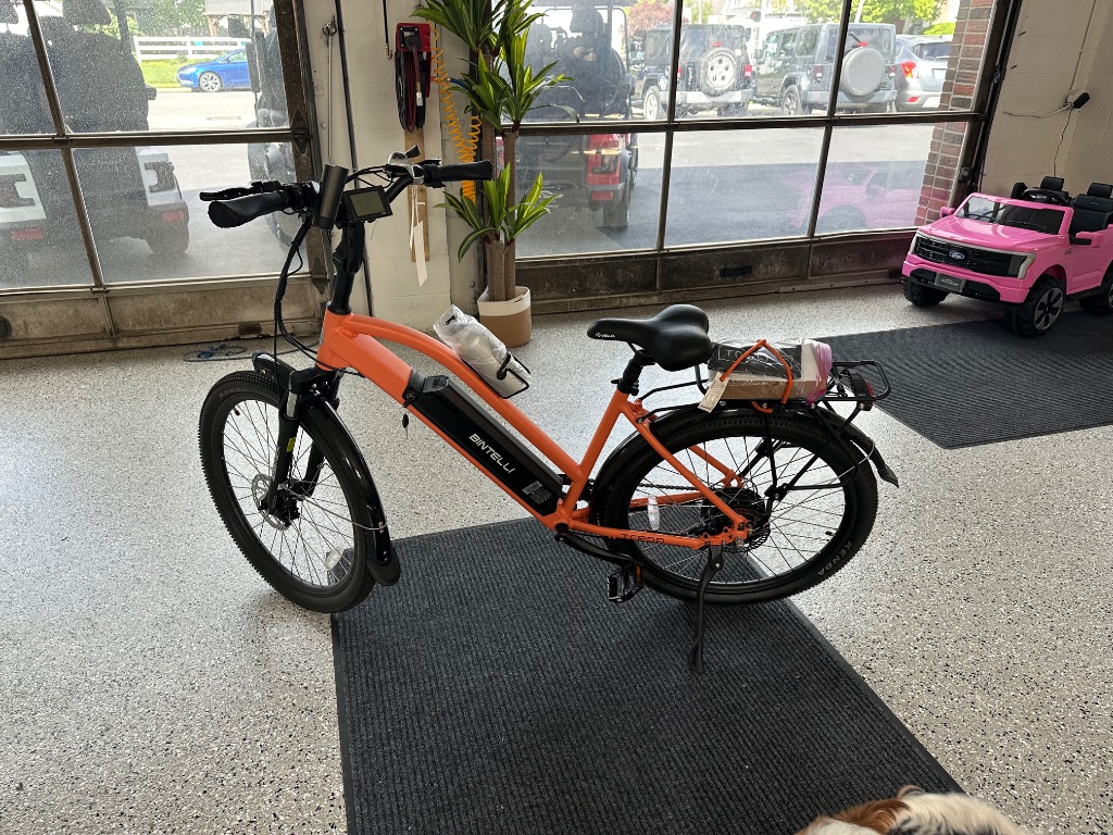 2026 BINTELLI TREND - $2,099