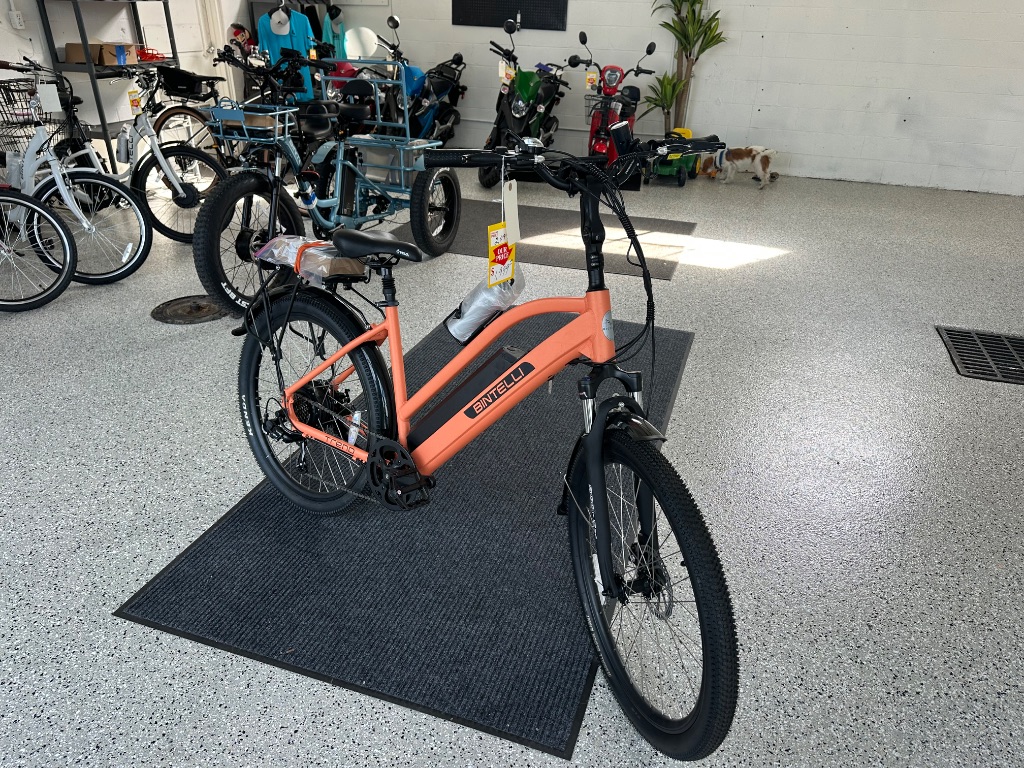 2026 BINTELLI TREND - $2,099