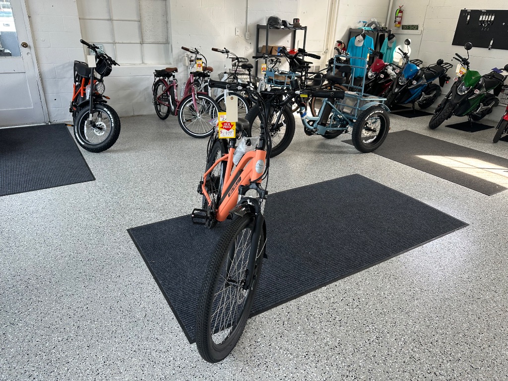 2026 BINTELLI TREND - $2,099