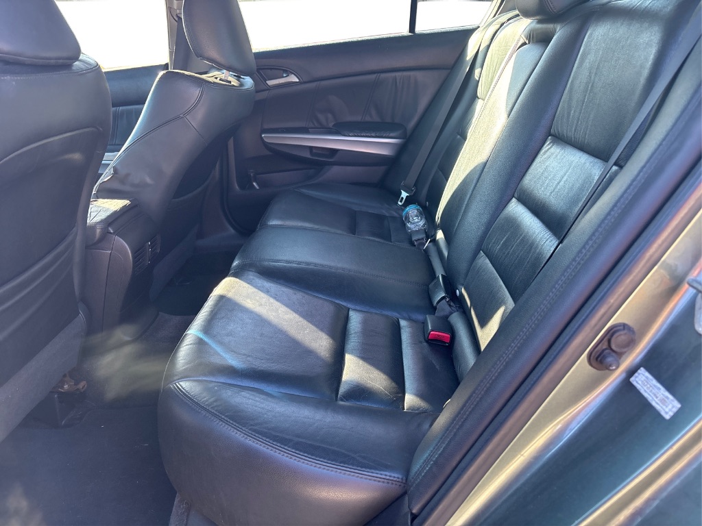 2010 Honda Accord EX-L photo