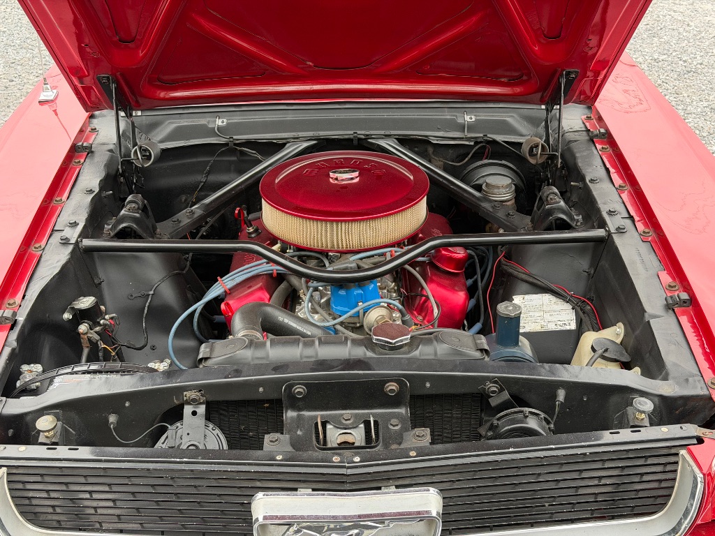 1966 Ford Mustang