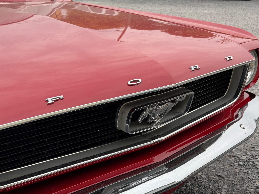 1966 Ford Mustang