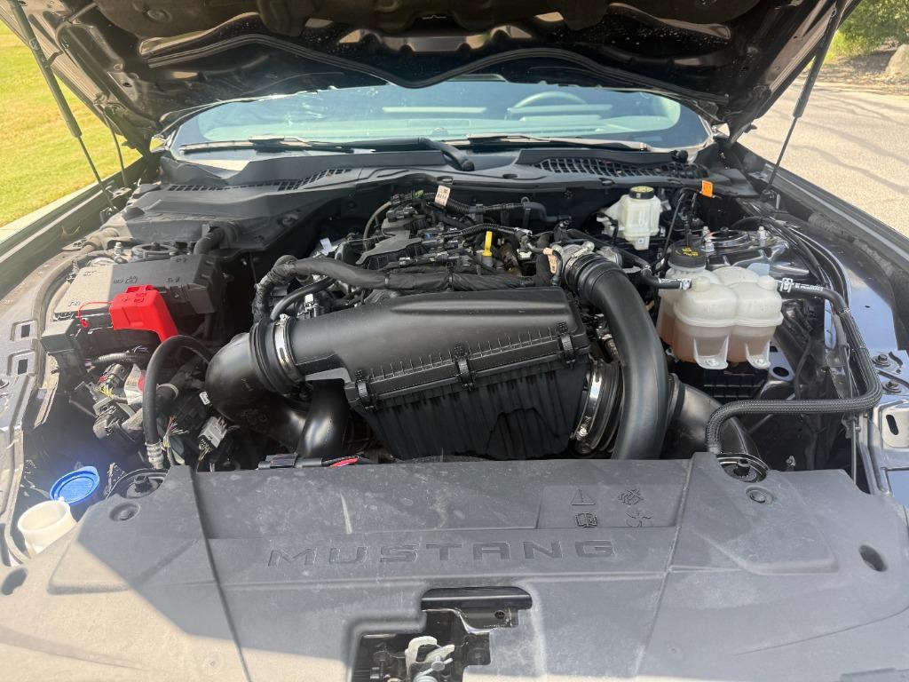 2024 Ford Mustang - $29,880