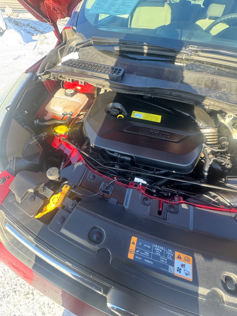 2013 Ford Escape SE photo