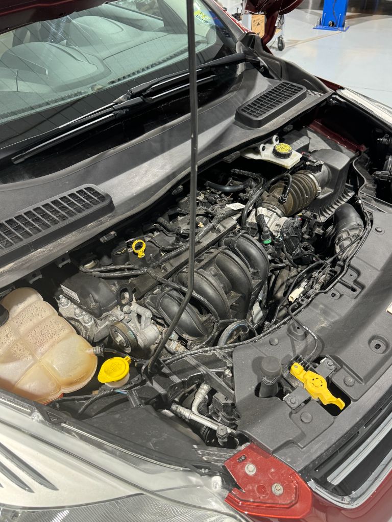 2016 Ford Escape SE photo