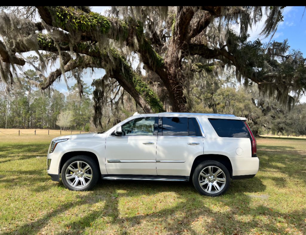 2015 Cadillac Escalade Luxury photo