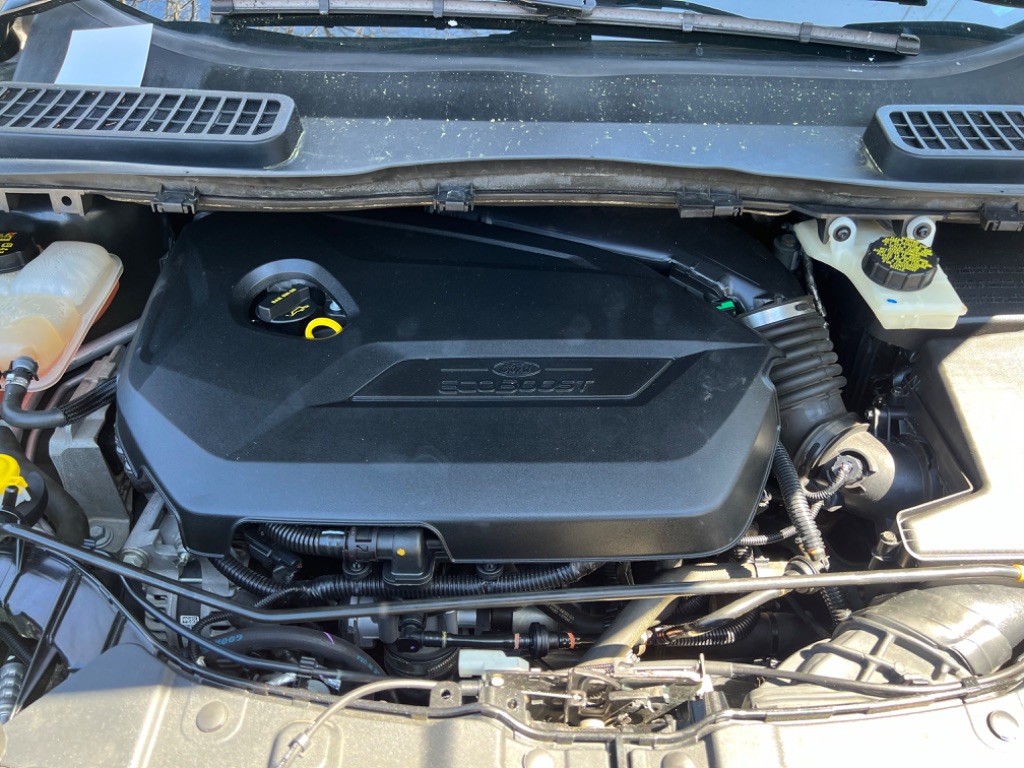 2014 Ford Escape SE photo