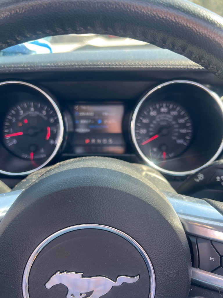 2015 Ford Mustang photo