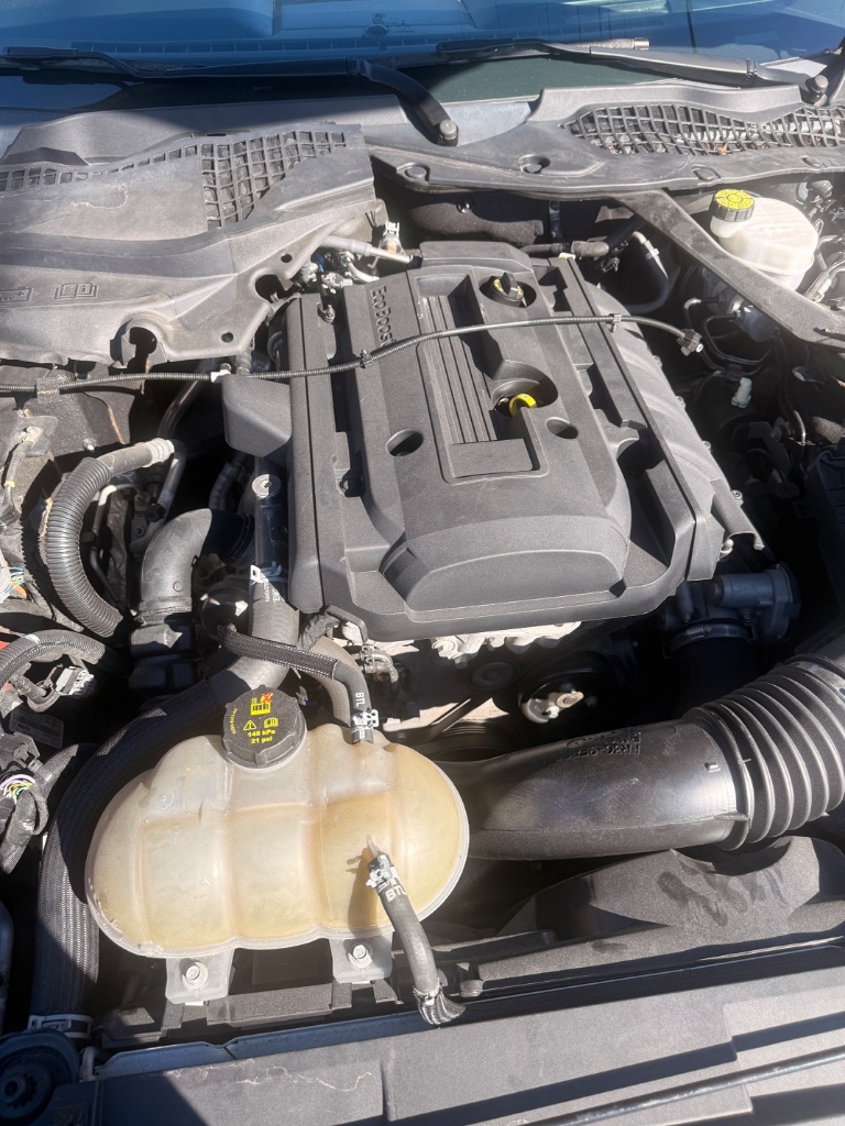 2019 Ford Mustang - $18,995