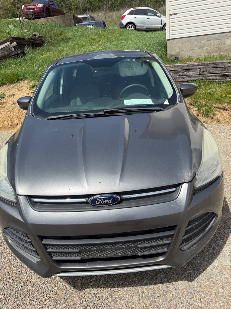 2014 Ford Escape SE photo
