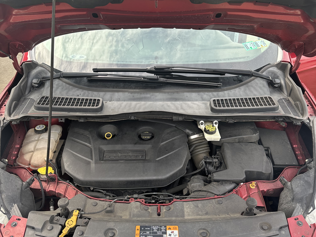 2013 Ford Escape SE photo