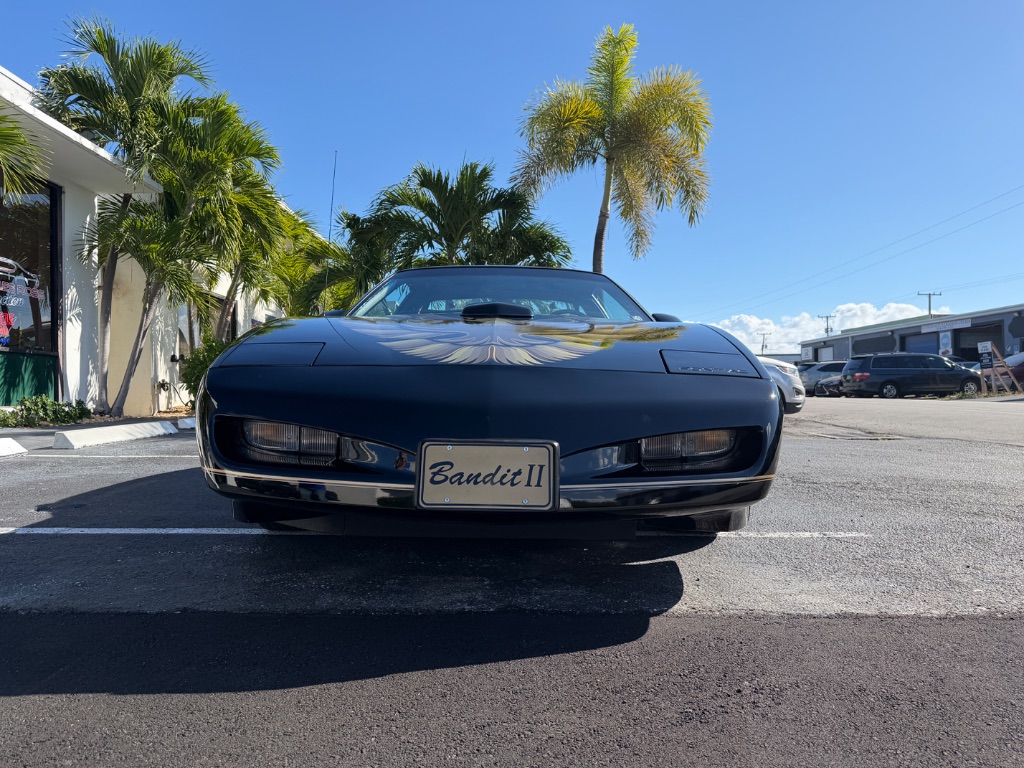 1991 Pontiac Firebird