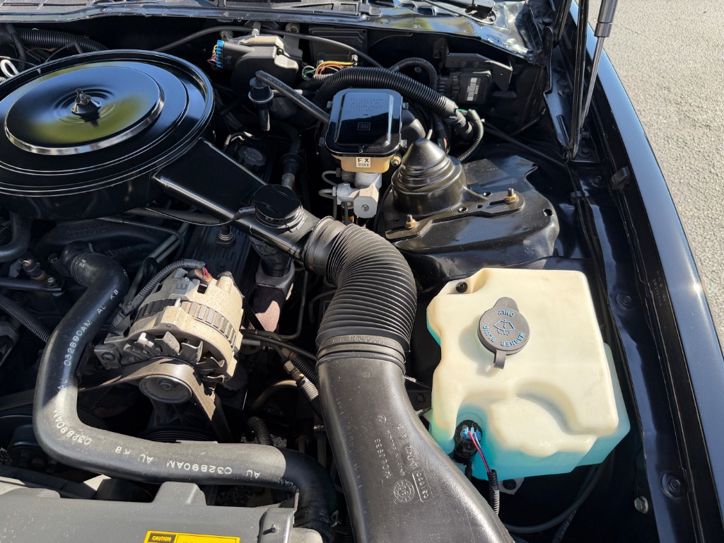 1991 Pontiac Firebird