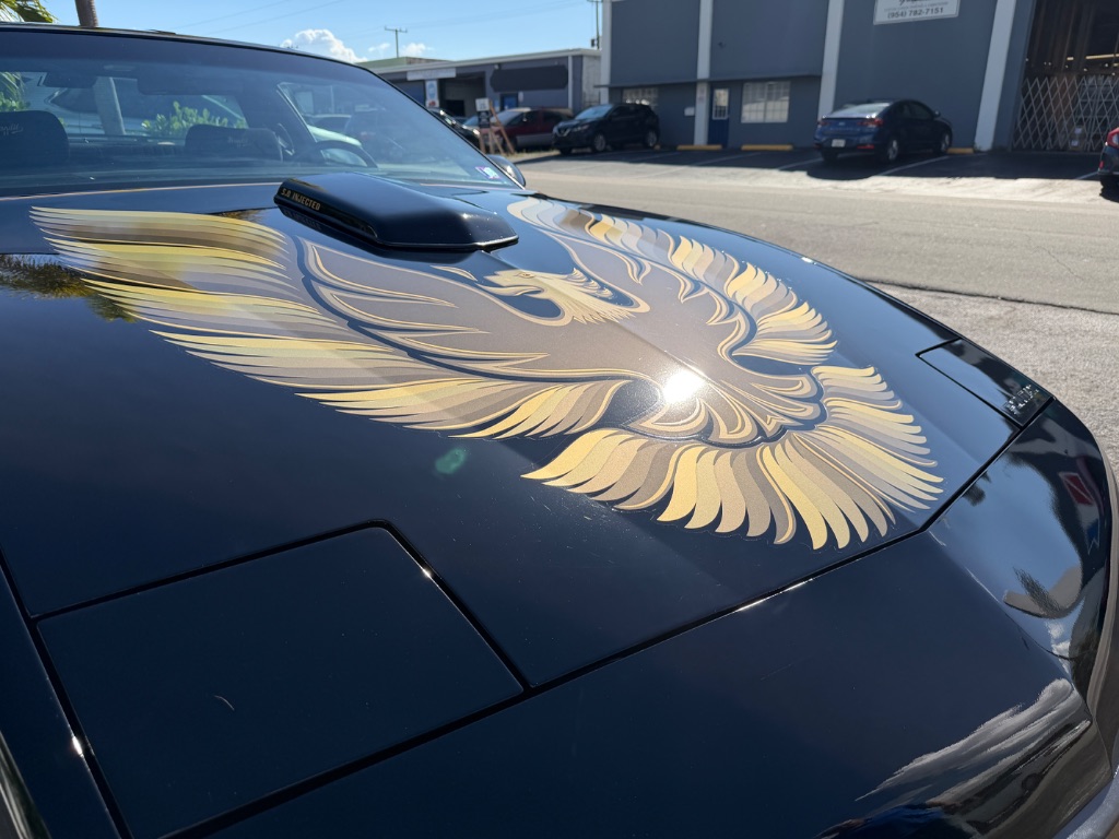 1991 Pontiac Firebird