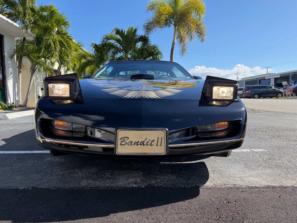 1991 Pontiac Firebird