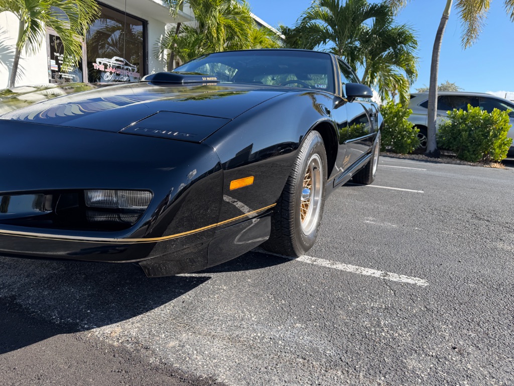 1991 Pontiac Firebird