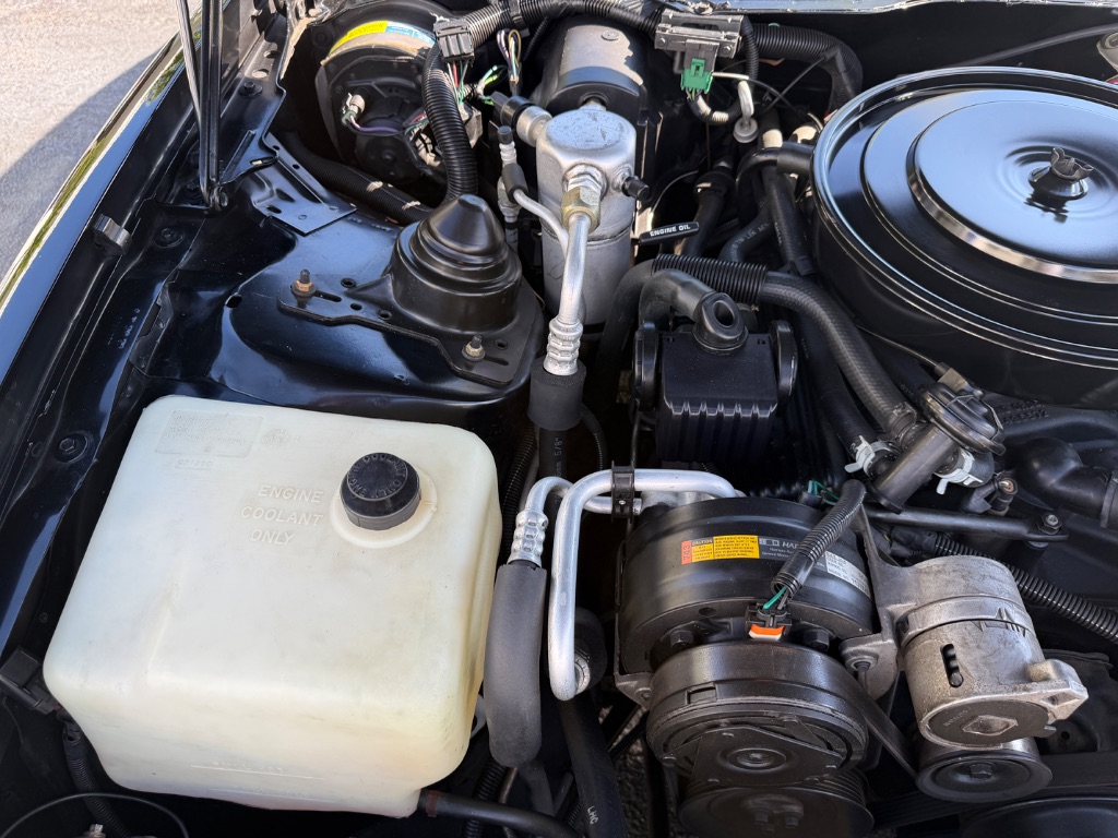 1991 Pontiac Firebird