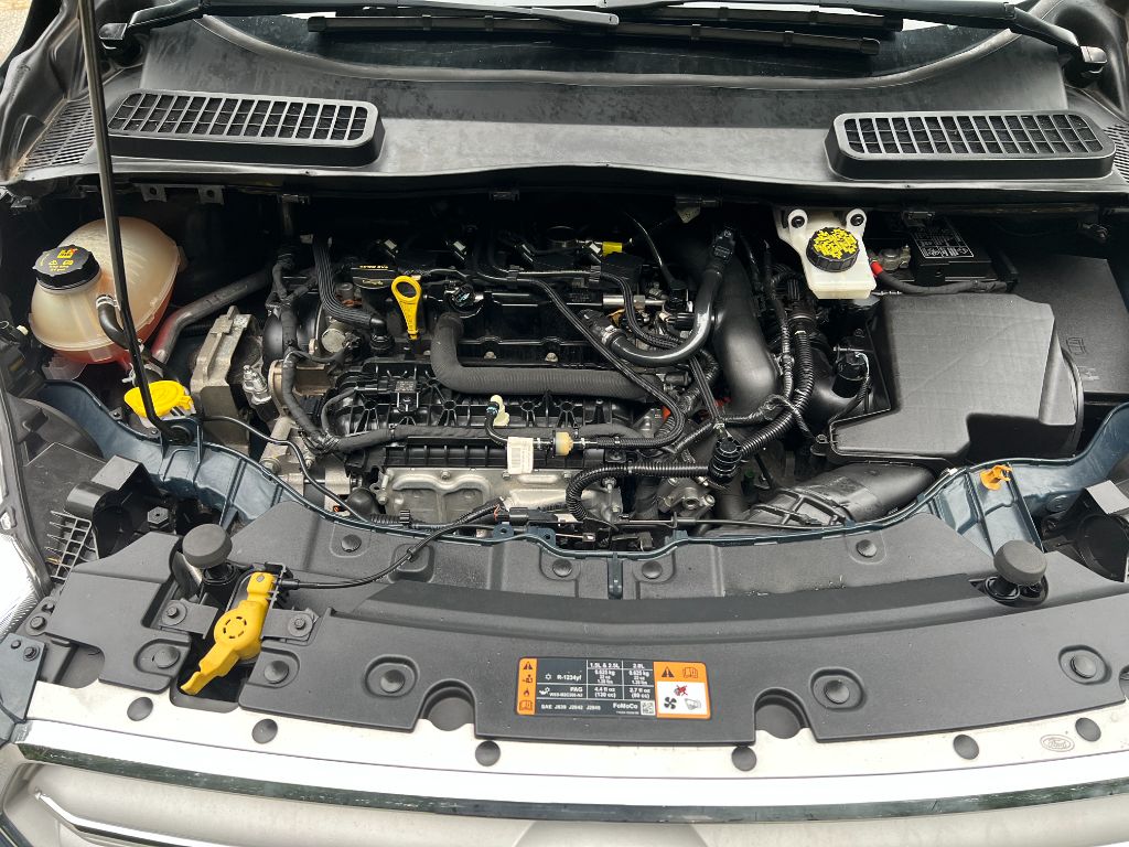 2019 Ford Escape - $8,500