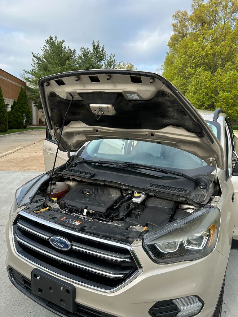 2017 Ford Escape SE photo