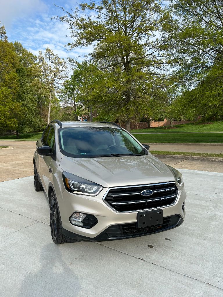 2017 Ford Escape SE photo