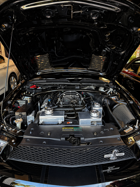 2009 Ford Mustang - $75,000