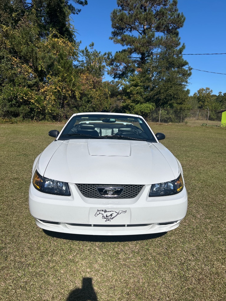 2004 Ford Mustang - $7,995