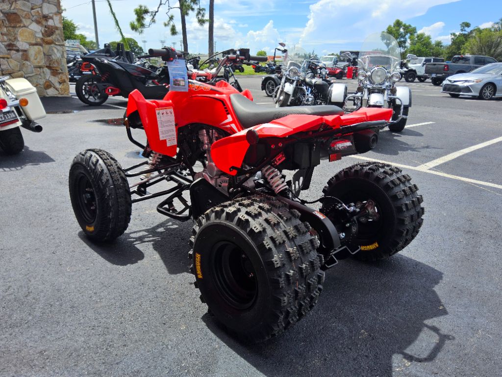 2027 Kayo Kayo - $4,599