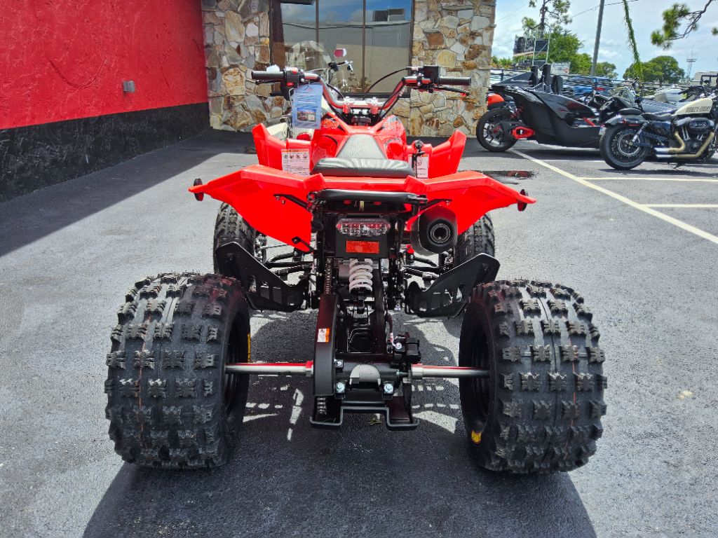 2027 Kayo Kayo - $4,599