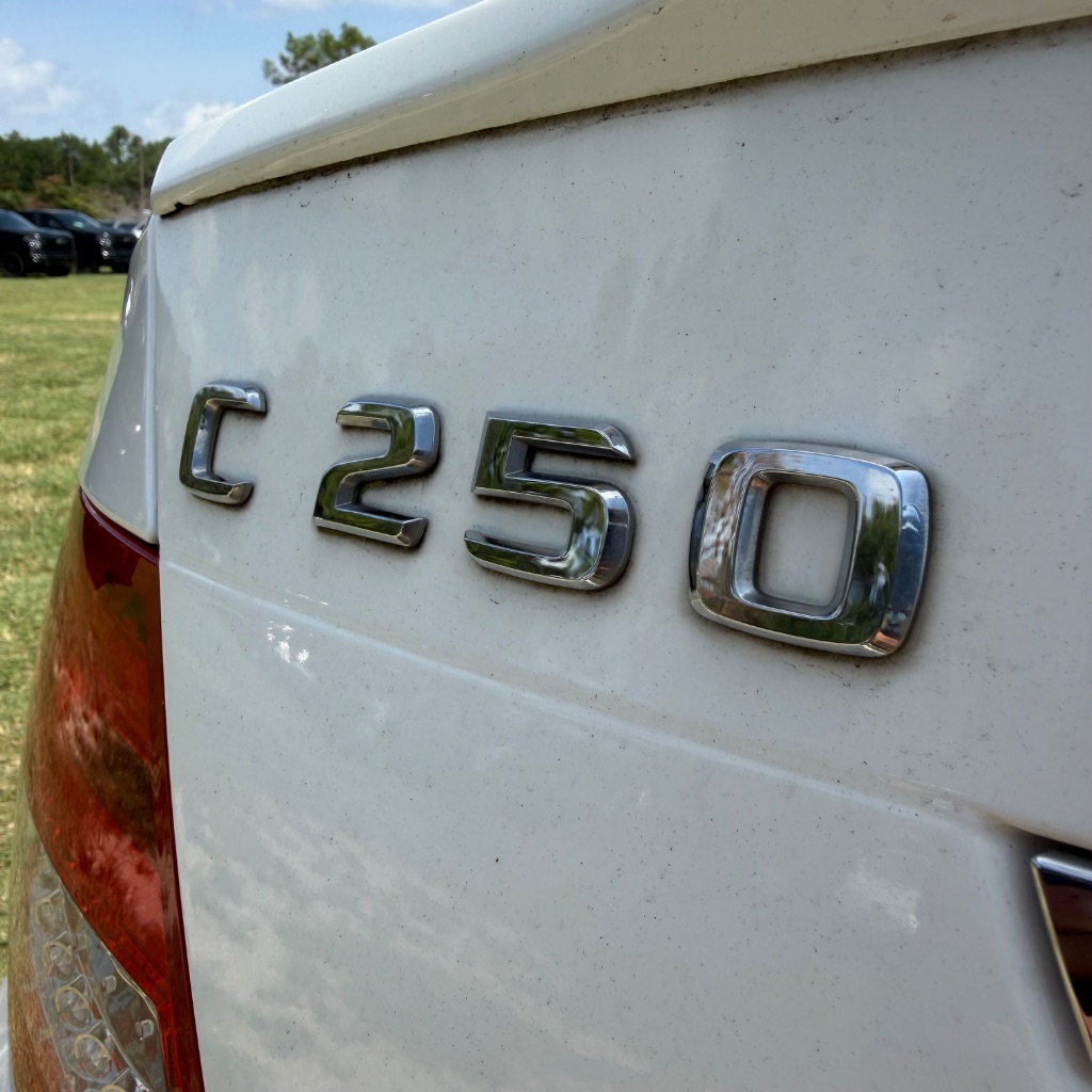 2014 Mercedes-Benz C Class - $7,991